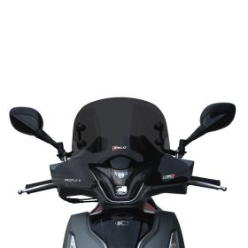 WINDSCREEN FACO 29040