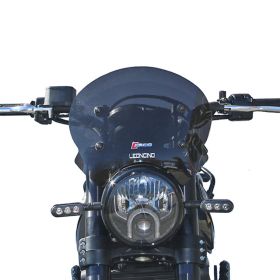 WINDSCREEN FACO 29047 LOW
