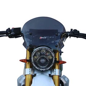 WINDSCREEN FACO 29077 LOW