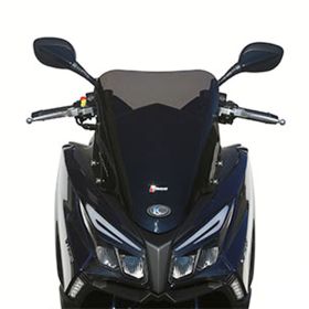 WINDSCREEN FACO 29105