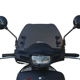 WINDSCREEN FACO 29155