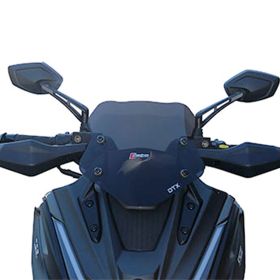 WINDSCREEN FACO 29176 LOW