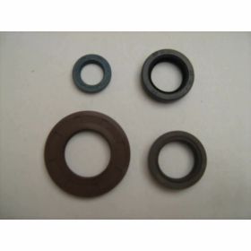 Kit de joint FANTIC MOTOR pour Trial 307-309/Clubman 250