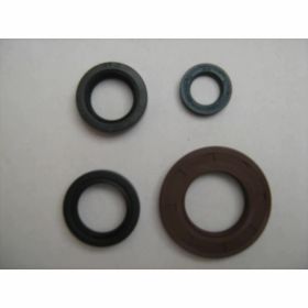 Kit paraoli FANTIC MOTOR per Trial 240-241-300-301-305