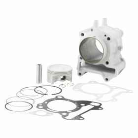 Haut moteur cylindre MALOSSI 3117737