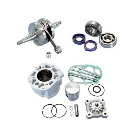Groupe thermique POLINI D.50 cylindre en aluminium
