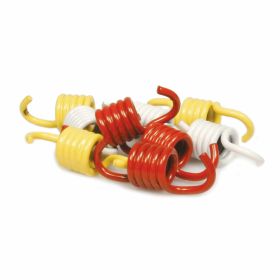Ressorts d embrayage MALOSSI 2915089