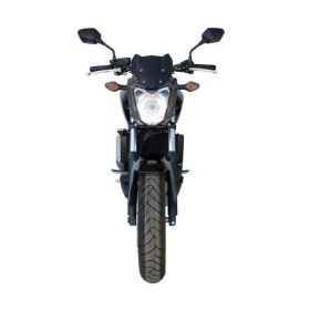 FABBRI Dark Smoke Windshield Gen-X Sport 225x205mm