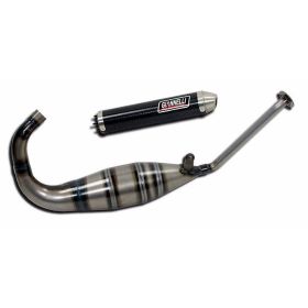 Système d'échappement complet GIANNELLI pour Aprilia RS 250