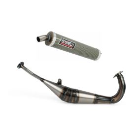 Complete GIANNELLI Kevlar 2T Exhaust for Honda NSR 125 R