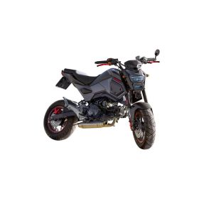 Système d'échappement complet GPR Reverse Racing Deeptone Inox pour Honda MSX/Grom 125