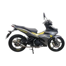 GPR Racing Deep Tone Komplettauspuff Edelstahl für Yamaha Sniper 150 2021-2022