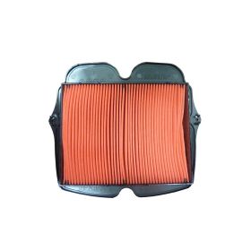 FILTRO ARIA HIFLO HFA1930 E1719300