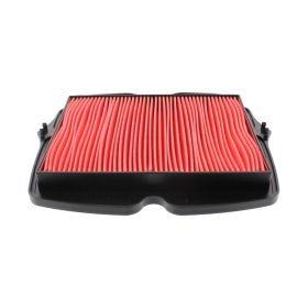 FILTRO ARIA HIFLO HFA1930 E1719300