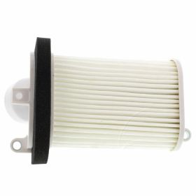 Filtro aria HIFLOFILTRO HFA4508 per Yamaha XP 500