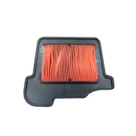 FILTRO ARIA HIFLO HFA4921 E1749210