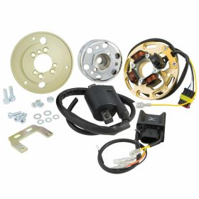HPI Universal Ignition Stator Coil Flywheel 320g 60W 2 Camshafts