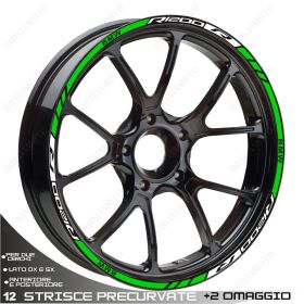 SET OF RIM WHEEL STICKERS DECALS SPORT LINE BMW R1200R LC WHITE GREEN