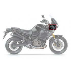 PROTEZIONE FIANCHI SUPERIORI CARBON ORO
