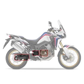 PROTEZIONI MOTORE E FORCELLONE CARBON