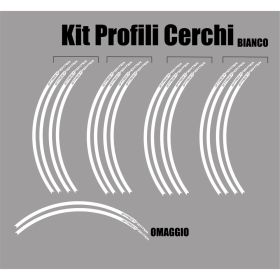 IRIDEA DESIGN WHE-DUC-STR-WH MOTORCYCLE RIM STICKERS