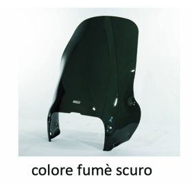 ISOTTA Pare-brise à flux d'air fumé foncé 420x395x4mm pour BMW R 1100 GS sans attachement