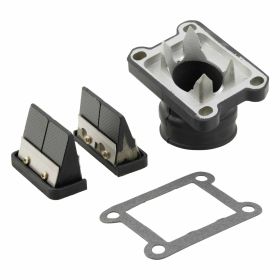 ITALKIT Doppel-Lamellenpaket Prisma für Minarelli AM Carbon 35mm 4 Löcher