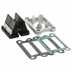 ITALKIT Doppelprisma-Lamellenpackung für Minarelli AM 3-6 35mm 4 Löcher