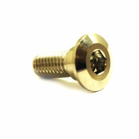 Bullone disco freno JMP inox M8X1,25x20mm