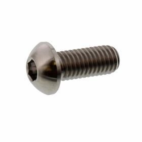 JMP Titan Bremsscheibenbolzen M8x1,25x20mm