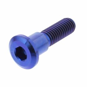 Bullone disco freno JMP titanio M8x1,25x33mm