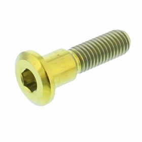 JMP Titan Bremsscheibenbolzen M8x1,25x33mm Gold