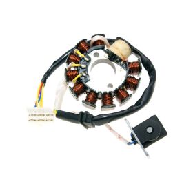 Statore 101 OCTANE IP35576 11 bobine
