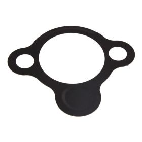 Original TRIUMPH T1140071 Kettenspanner-Dichtung
