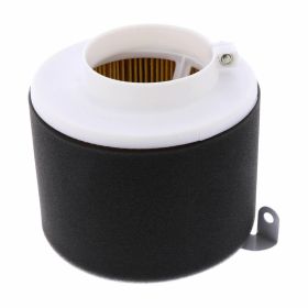 Filtre à air d'origine Kawasaki 11029-1004 pour KAF 400