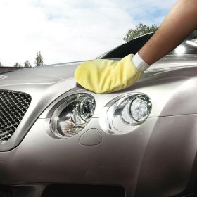 Lampa suede sponge glove