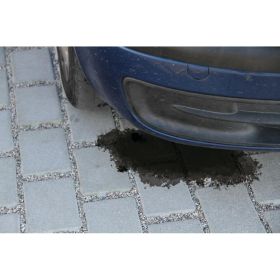 Absorbierende Sepiolithe für Öl und Benzin Lampa für Boden und Asphalt 20KG