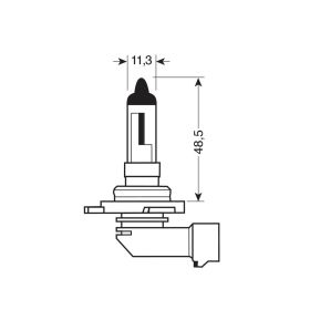 Halogenlampe Lampa HIR2 55W 12V PX22d 1 Stück