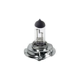 12V Lampada alogena - S3 - 15W - P26s - 1 pz- D/Blister