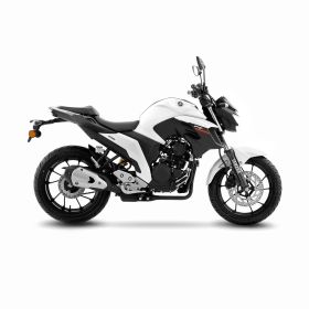 Universeller Auspuff LeoVince GP Corsa Carbon D 54