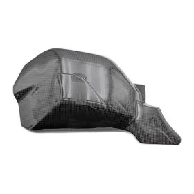 Protezioni forcellone in carbonio Lightech per Ducati streetfighter v4