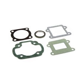 Kit guarnizioni per cilindro Malossi D 47 testa originale 31 6882