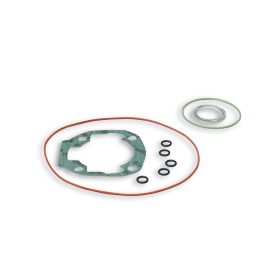 Kit guarnizioni per gruppo termico Malossi D 40/45,5 31 8394 - 31 8393