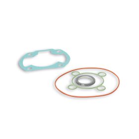 Kit guarnizioni per gruppo termico Malossi D 47/47,6 31 8559 - 31 8460 - 31 8430