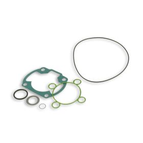 Kit guarnizioni per gruppo termico Malossi D 47 3112043