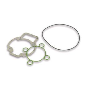 Kit guarnizioni per gruppo termico Malossi D 47 3112044