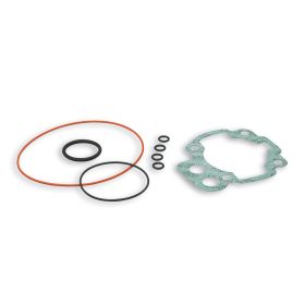 Kit guarnizioni per gruppo termico Malossi D 50 3112228-3112609