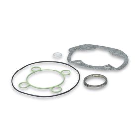 Kit guarnizioni per gruppo termico Malossi D 47 3112893