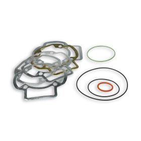 Kit guarnizioni per gruppo termico Malossi D 47,6/50 3115142 - 3113030