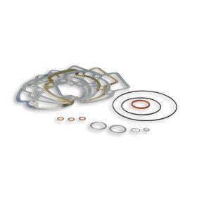 Kit guarnizioni per gruppo termico Malossi D 47,6/52 3115349 - 3115385